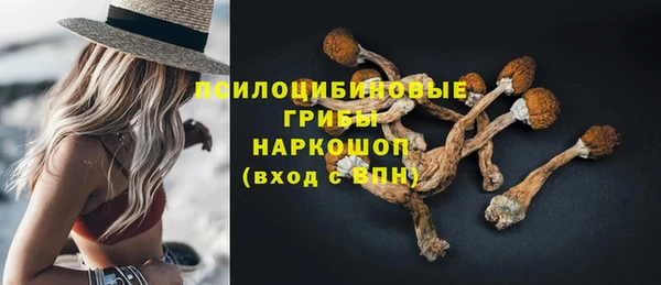 стафф Бугульма