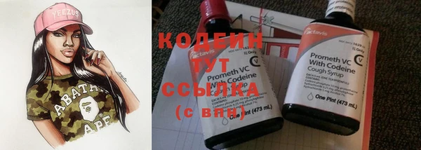 прущие крисы Бородино