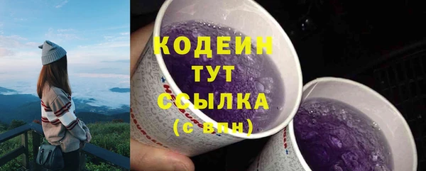 прущий лед Богородск