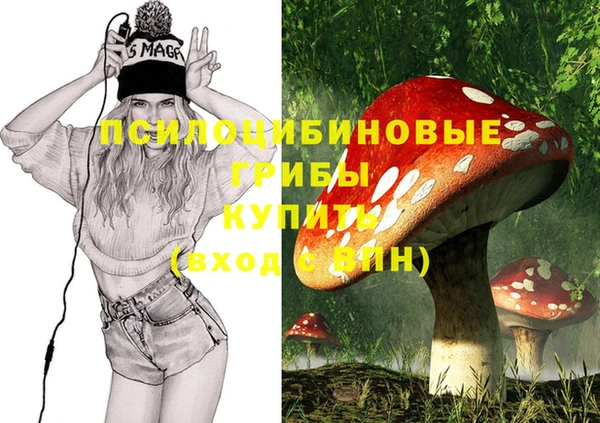 прущие крисы Бородино