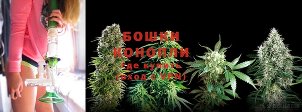 стафф Бугульма