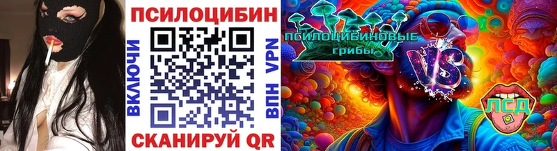 Псилоцибиновые грибы Cubensis  Купить  Арск 
